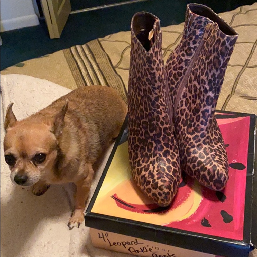 Leopard ankle boots - Picture 7 of 8